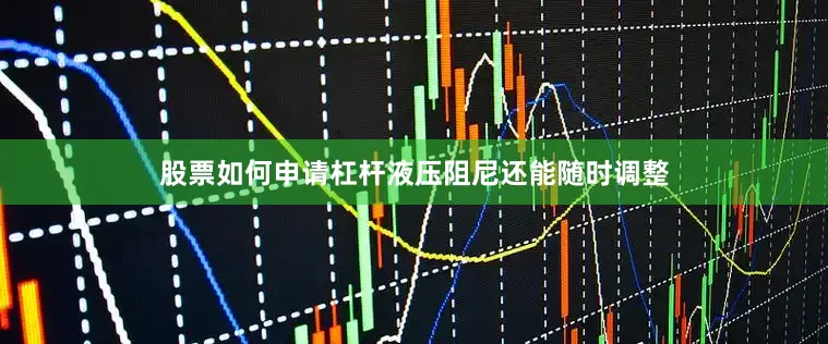 股票如何申请杠杆液压阻尼还能随时调整