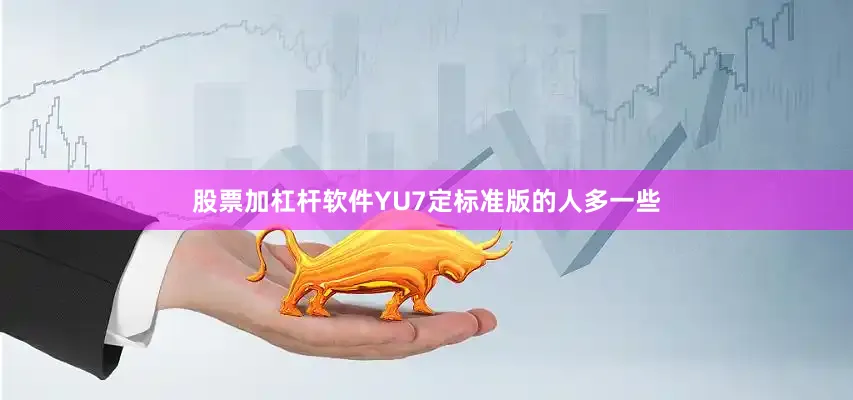 股票加杠杆软件YU7定标准版的人多一些
