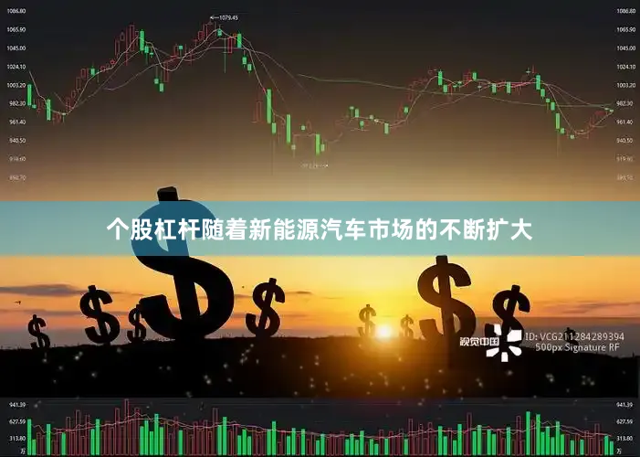 个股杠杆随着新能源汽车市场的不断扩大